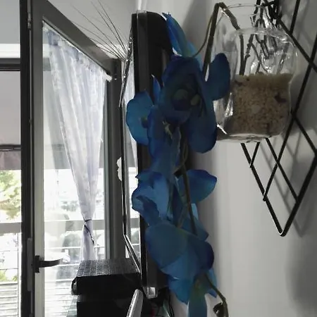 Appartement Gioiello Blu *